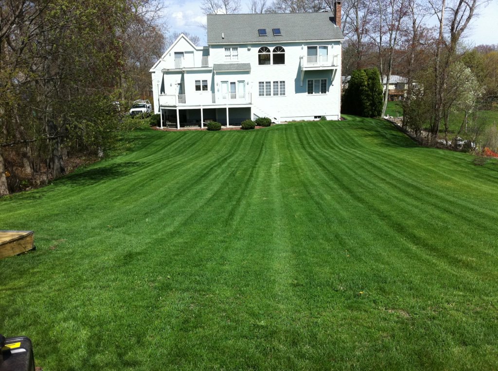 Fertilize your way to a healthy lawn | Dedham Landscaping
